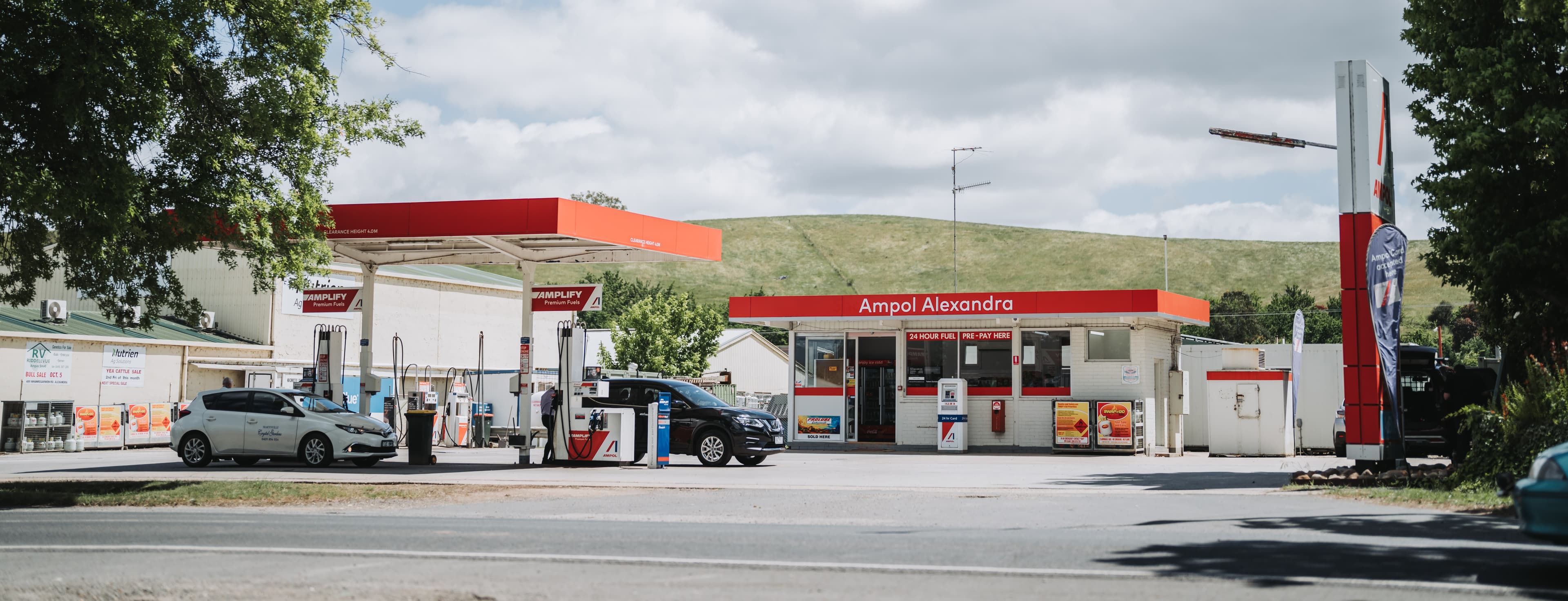 Simpsons Fuel Alexandra