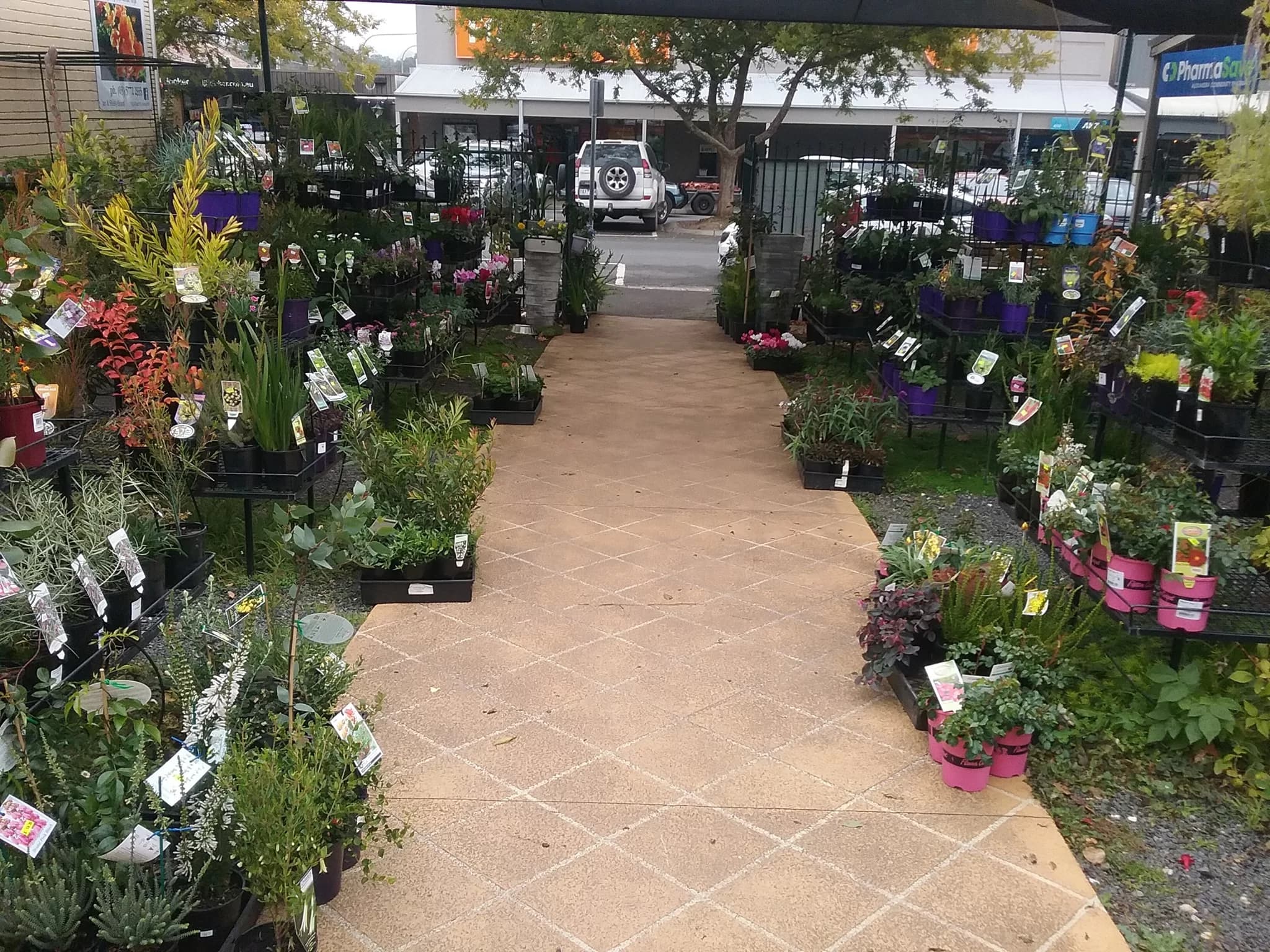 Alexandra Garden Centre